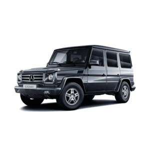 Выкуп генераторов Mercedes Mercedes G-klasse