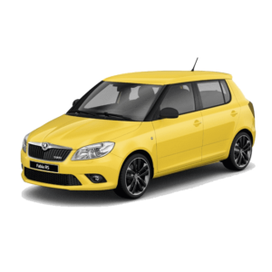 Выкуп генераторов Skoda Skoda Fabia RS